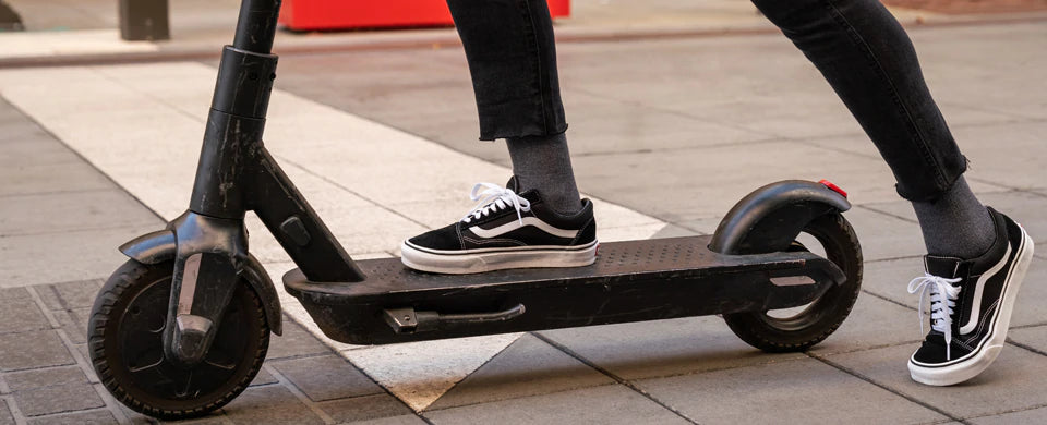 Shop Women's Socks by Collection